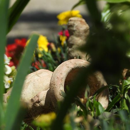 Zimski San Ravna Gora Esterno foto