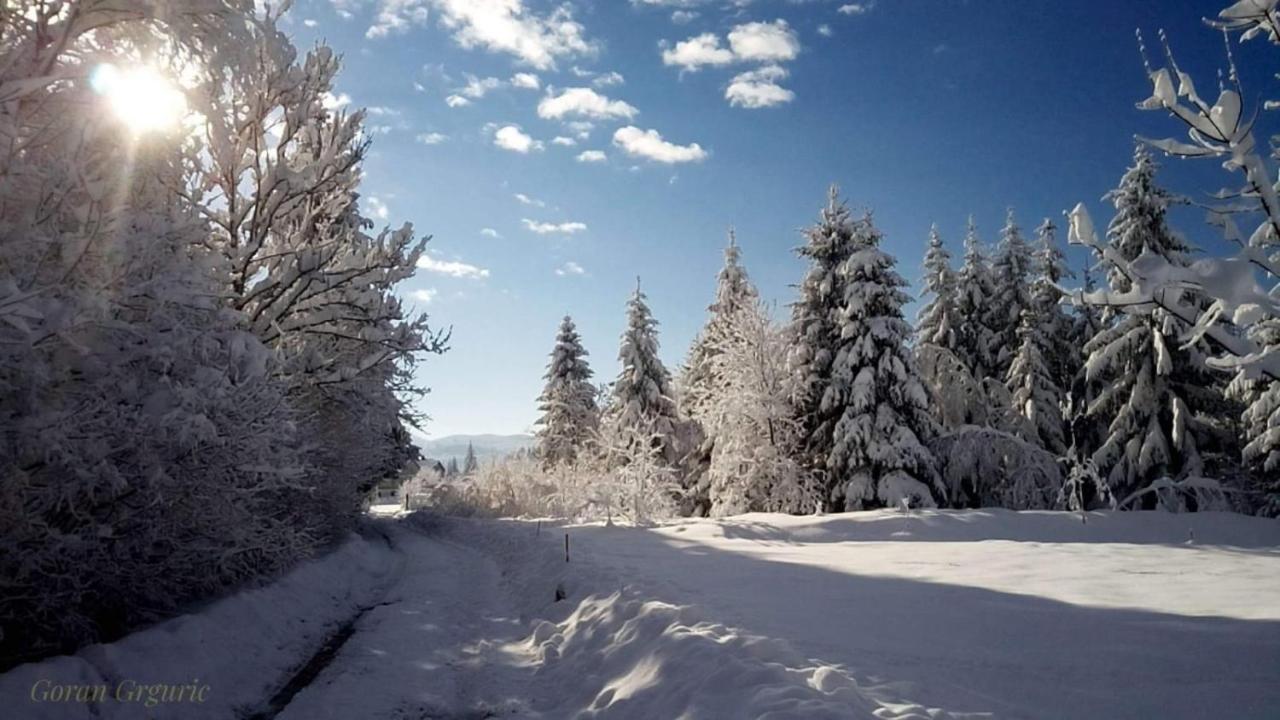 Zimski San Ravna Gora Esterno foto